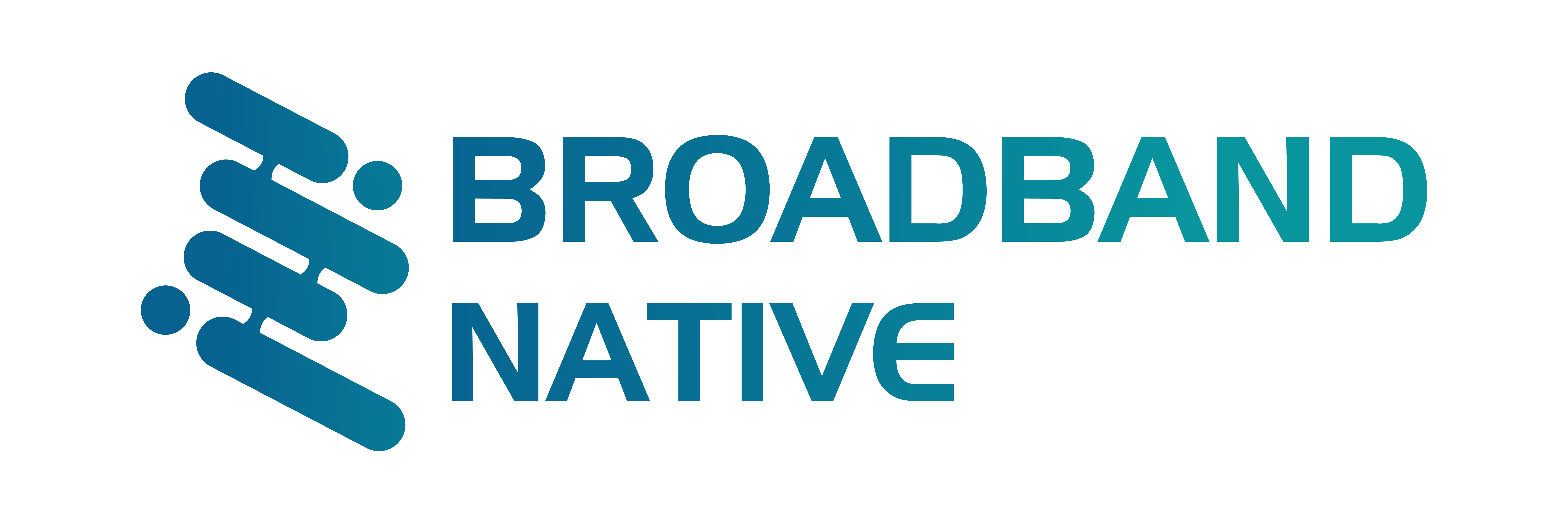 Broadband Native Inc. -The Global Partner!