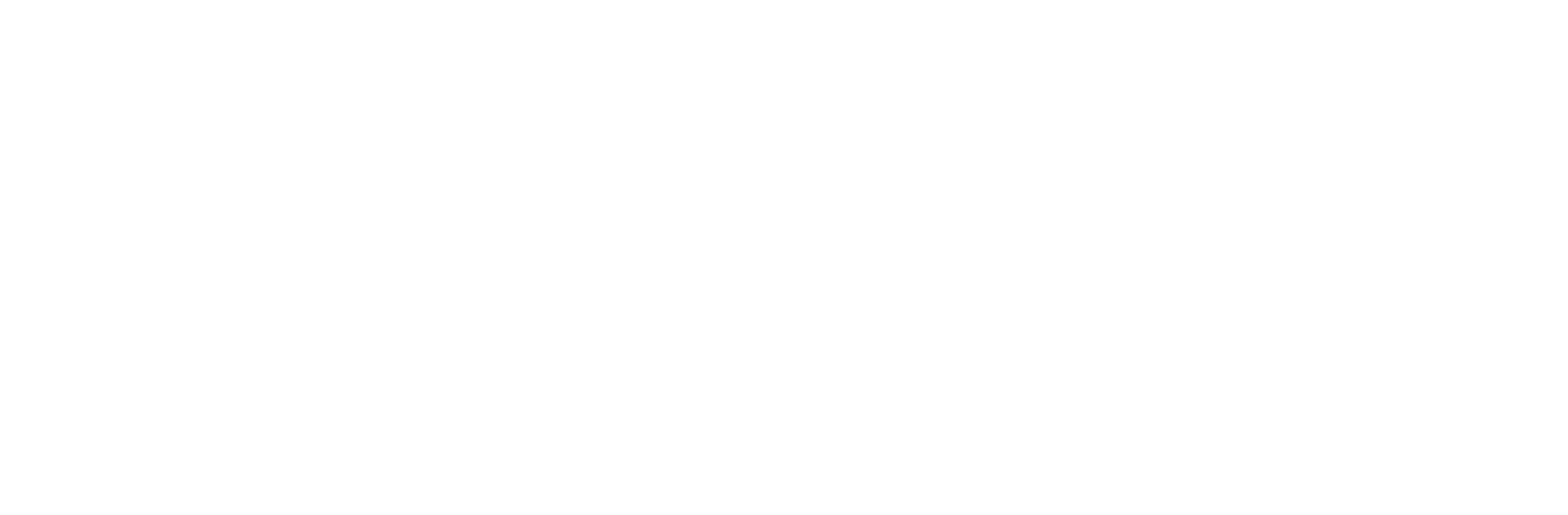 Broadband Native Inc. -The Global Partner!